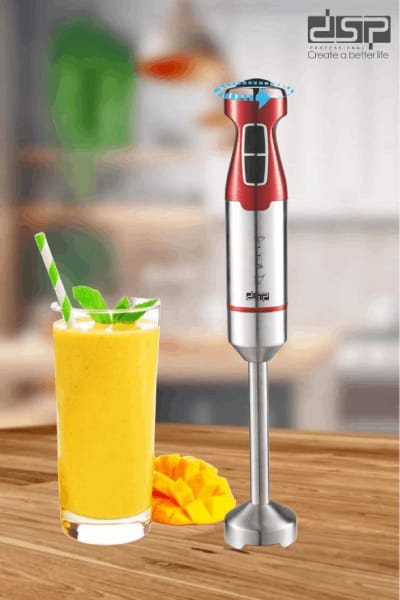 DSP Professional Hand Blender 600W KM-1117