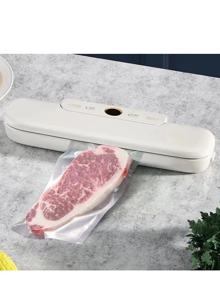 DENX DX1782 VACUUM SEALER